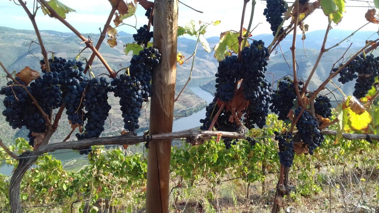 Stay At The Winemaker Ervedosa do Douro Екстериор снимка