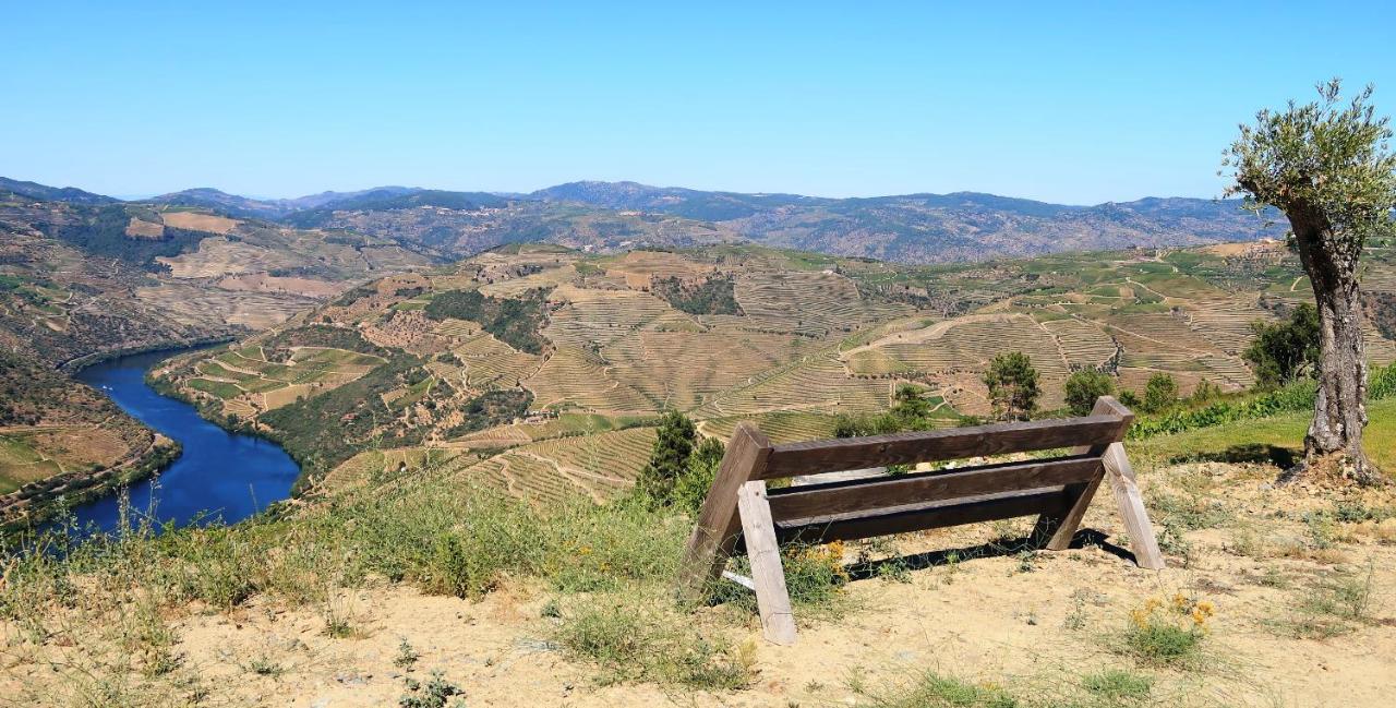 Stay At The Winemaker Ervedosa do Douro Екстериор снимка