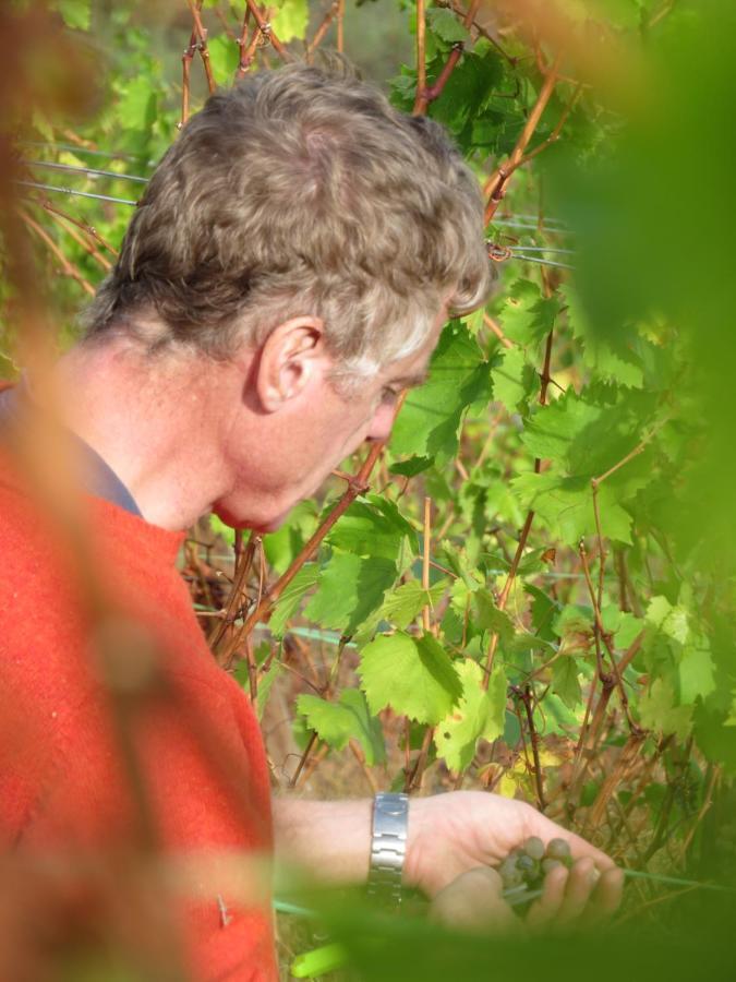 Stay At The Winemaker Ervedosa do Douro Екстериор снимка