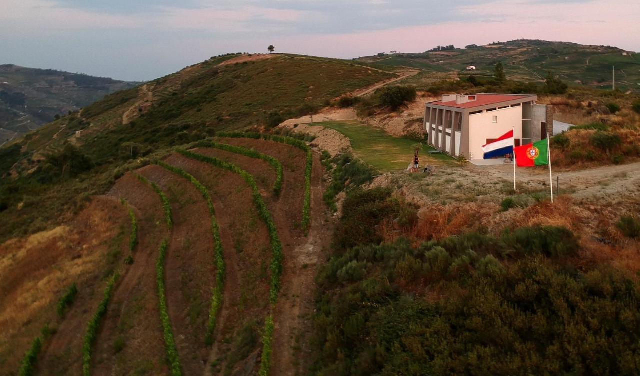 Stay At The Winemaker Ervedosa do Douro Екстериор снимка