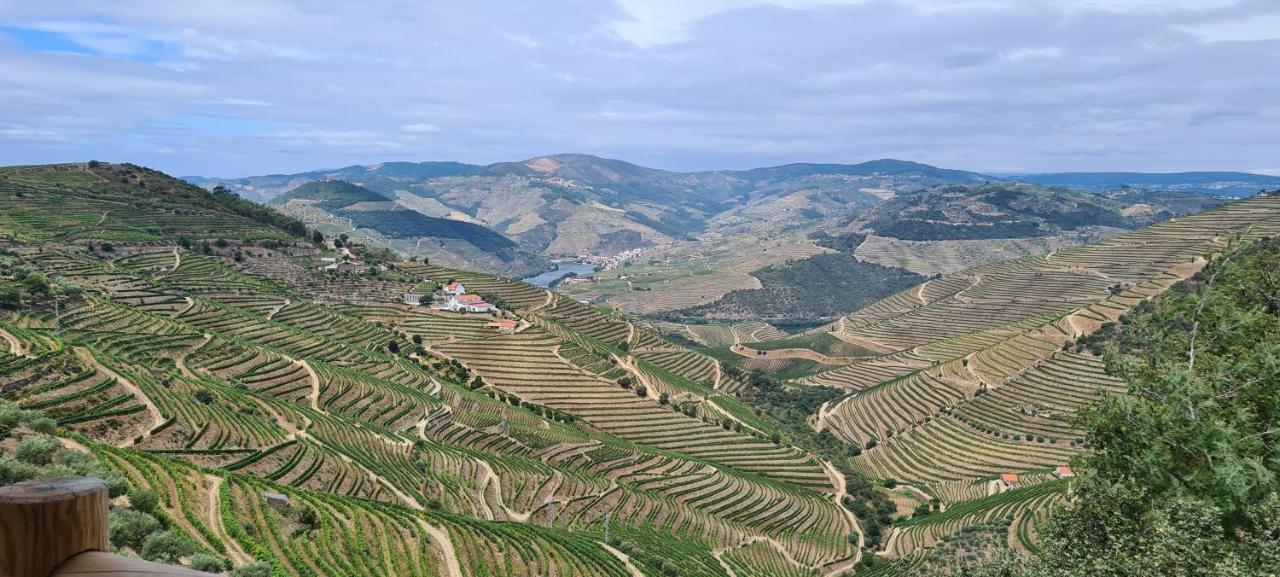 Stay At The Winemaker Ervedosa do Douro Екстериор снимка