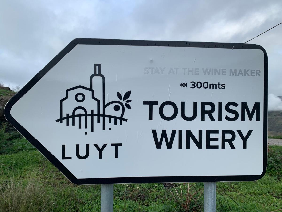 Stay At The Winemaker Ervedosa do Douro Екстериор снимка